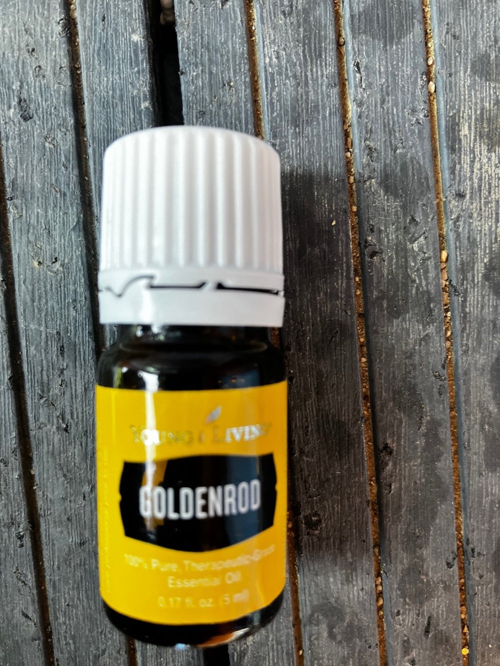 Young Living Goldenrod Essential Oil 5mL New / Sealed Aromatherapy
